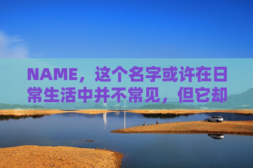 NAME，这个名字或许在日常生活中并不常见，但它却在某些领域里扮演着重要的角色。今天，让我们一起来探索这个名字背后的故事和意义